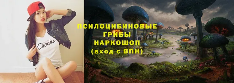 Псилоцибиновые грибы MAGIC MUSHROOMS  Починок 