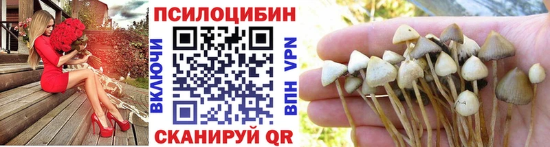 Псилоцибиновые грибы ЛСД  hydra ONION  Починок 