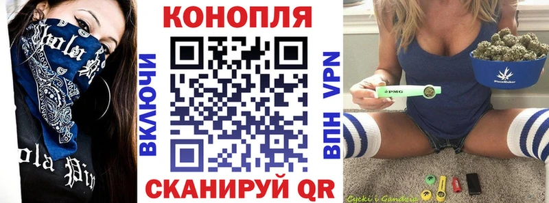 Шишки марихуана гибрид  даркнет как зайти  Починок 